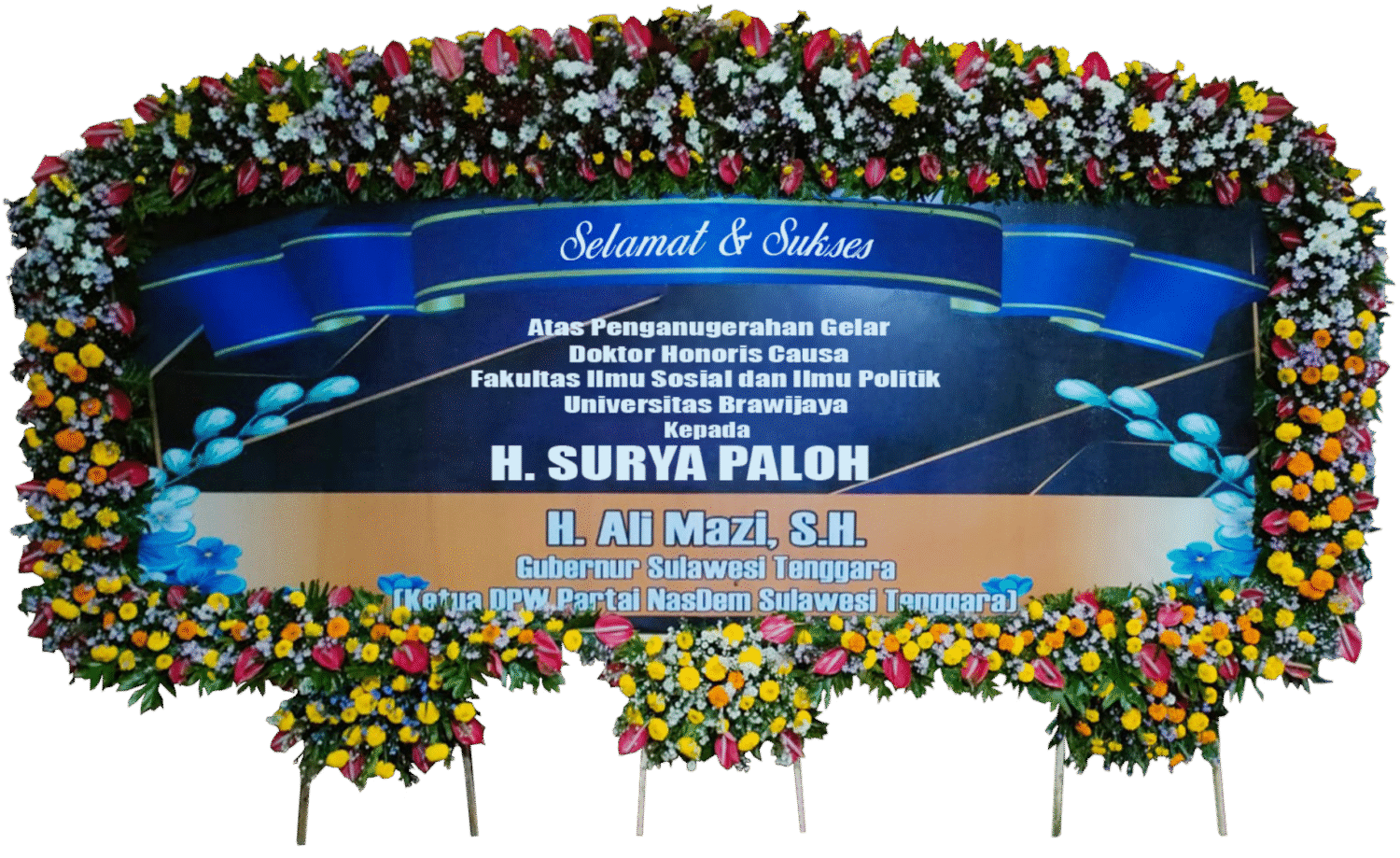 Bunga Papan Malang
